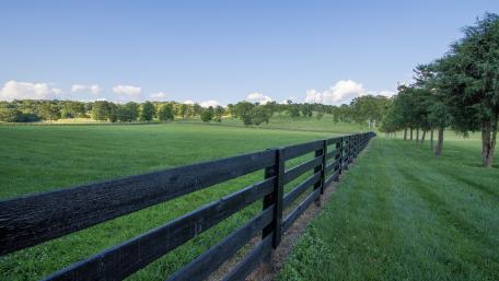 Tranquil Rural Landscape with Fence and Green Fields wallpaper