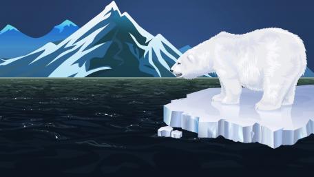 Minimalist polar bear wallpaper