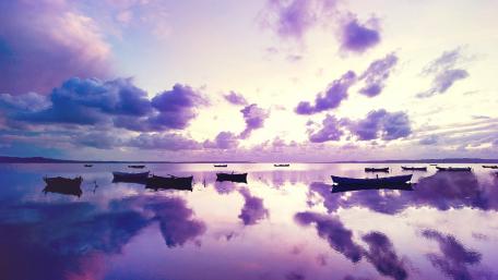 Serenity on Purple Waters wallpaper