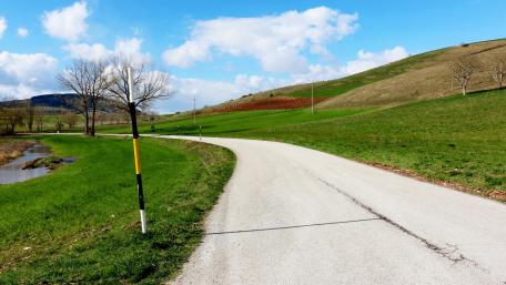 Scenic Curved Road Through Lush Green Fields wallpaper