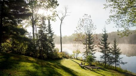 Serene Morning by the Lake in Nature's Embrace wallpaper