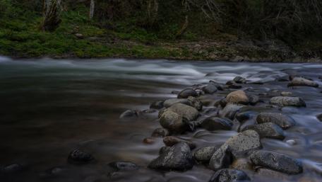 Tranquil River with Pebbles Under Gentle Flowing Water wallpaper