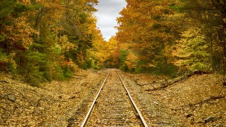 Autumn Railway Through a Golden Forest wallpaper