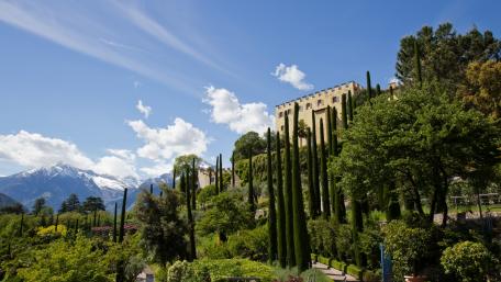 Majestic Castle Surrounded by Lush Greenery wallpaper