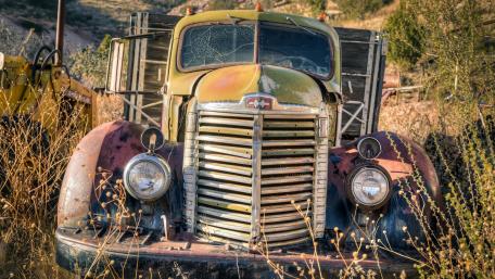 Vintage Beauty in Rusty Glory wallpaper