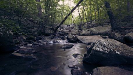 Serene Forest Stream Flowing Through Rocks and Trees wallpaper