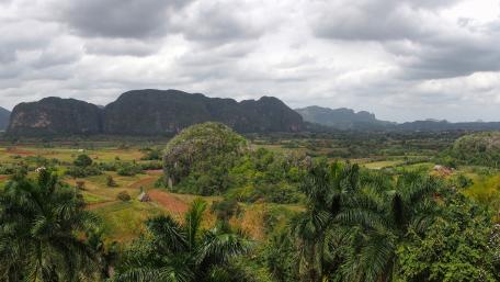 Tropical Serenity in Nature's Embrace wallpaper
