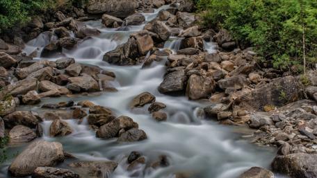 Serene Flow of Nature's Beauty wallpaper