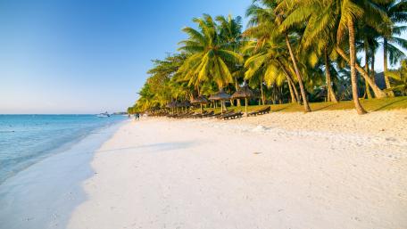 Tropical Paradise Awaits You wallpaper