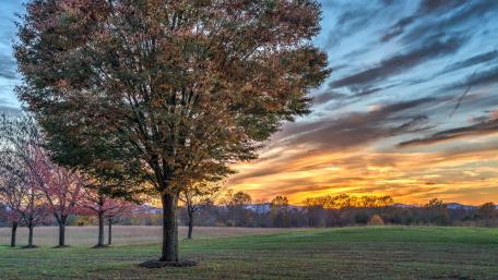 Vibrant Sunset Over Autumn Field wallpaper