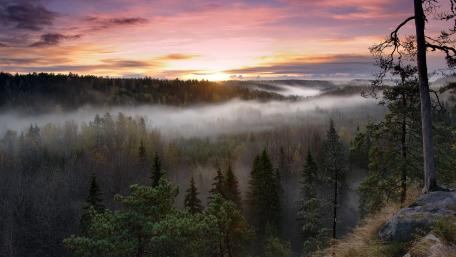 Nuuksio National Park wallpaper