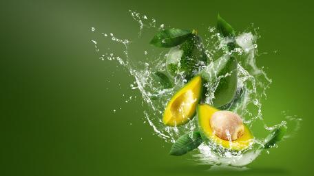 Avocado Splash in Vibrant Green wallpaper