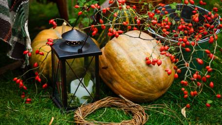 Autumn Vibes with Pumpkin and Lantern Decor wallpaper
