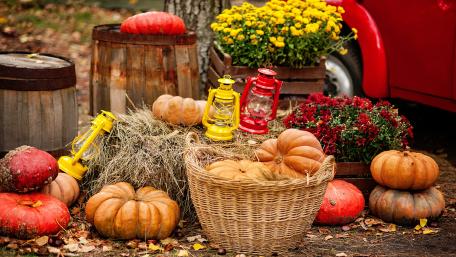 Autumn Harvest Halloween Wallpaper wallpaper