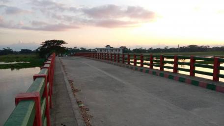 Mixture of nature and bridge wallpaper