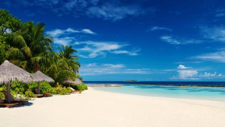 Tropical Paradise Under the Blue Sky wallpaper