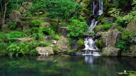 Tranquil Waterfall in Lush Greenery wallpaper