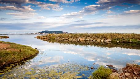 Tranquil Lake Reflection in Nature's Embrace wallpaper