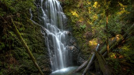 Berry Creek Falls, Big Basin Redwoods State Park wallpaper