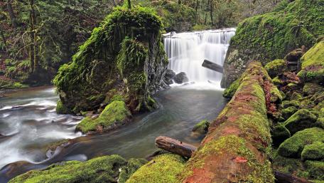 Serene Cascade Amidst Lush Greenery wallpaper
