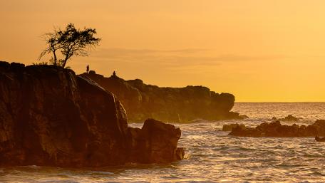 Golden Sunset Over Solitary Tree on Cliffside wallpaper