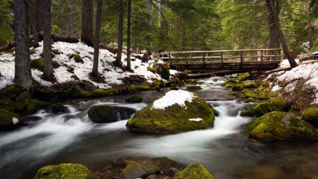 Tranquil Footbridge Over a Mountain Stream wallpaper