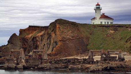 Cape Arago State Park wallpaper