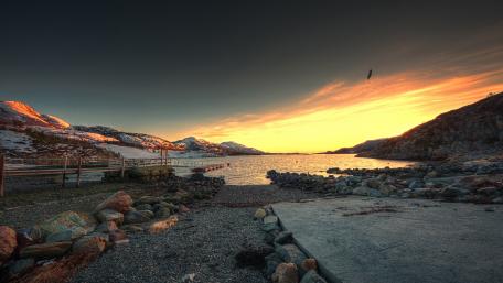 Tranquil Sunset by the Lakeside Shore wallpaper