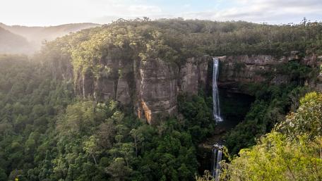 Majestic Forest Waterfall Vista wallpaper
