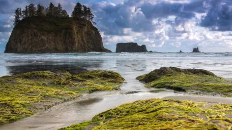 Olympic National Park wallpaper