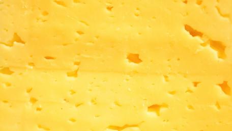 Vibrant Yellow Cheese Wallpaper Inspiration wallpaper