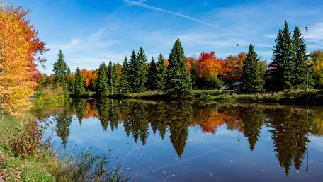 Vibrant Autumn Reflections on Tranquil Lake Surface wallpaper