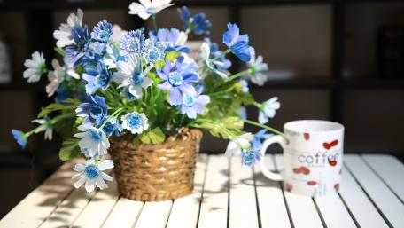 Vibrant Blue Flowers in a Charming Setting wallpaper