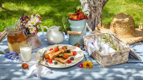 Sunny Picnic Delight in Nature's Embrace wallpaper