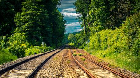 Railway Tracks Through Lush Greenery wallpaper