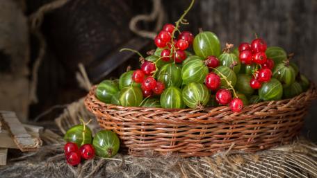 Fresh Gooseberries in a Rustic Basket Displaying Nature's Bounty wallpaper