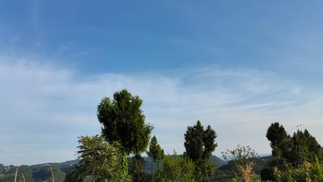 Serene Nature Under a Clear Blue Sky wallpaper