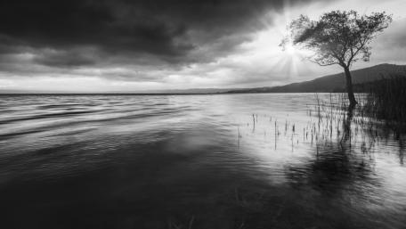 Serenity by the Monochrome Lake wallpaper