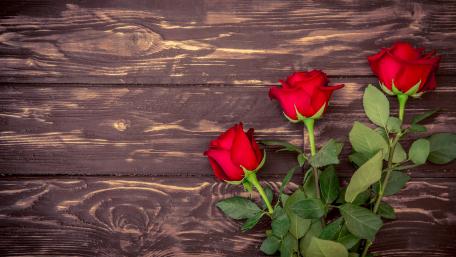 Beautiful Red Roses on Wooden Planks for Elegant Decor wallpaper