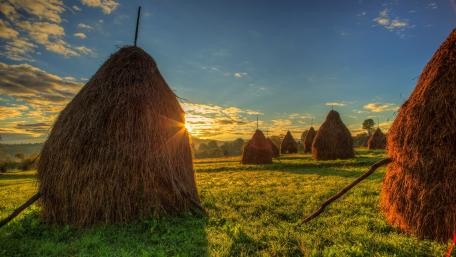 Haystacks wallpaper