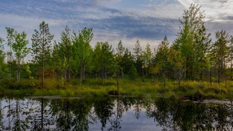 Tranquil Spring Reflections in Nature's Embrace wallpaper
