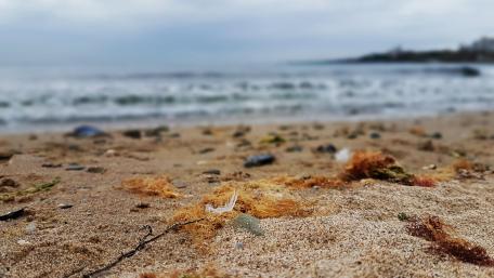 Istanbul beach wallpaper