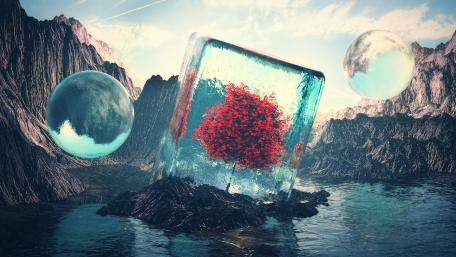 Lone tree in a cube wallpaper