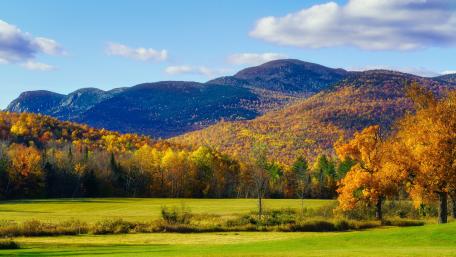 Vibrant Autumn Hills in 4K Nature Scenery wallpaper