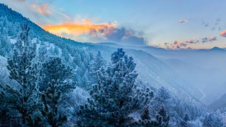 Winter landscape wallpaper