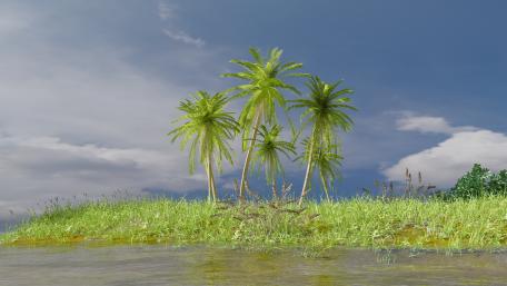 Tranquil Palm Tree Landscape in India wallpaper