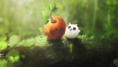 Cute little owl wallpaper