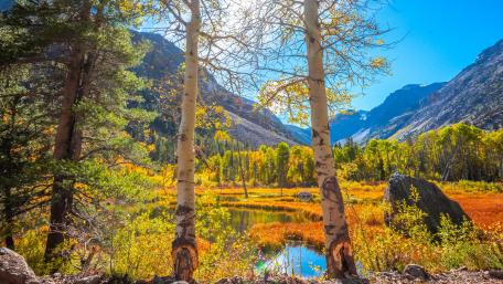 Autumn Serenity in the Wilderness wallpaper