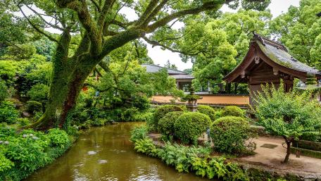 Zen Oasis: Serene Harmony in Nature's Embrace wallpaper