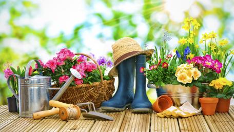 Garden tools wallpaper